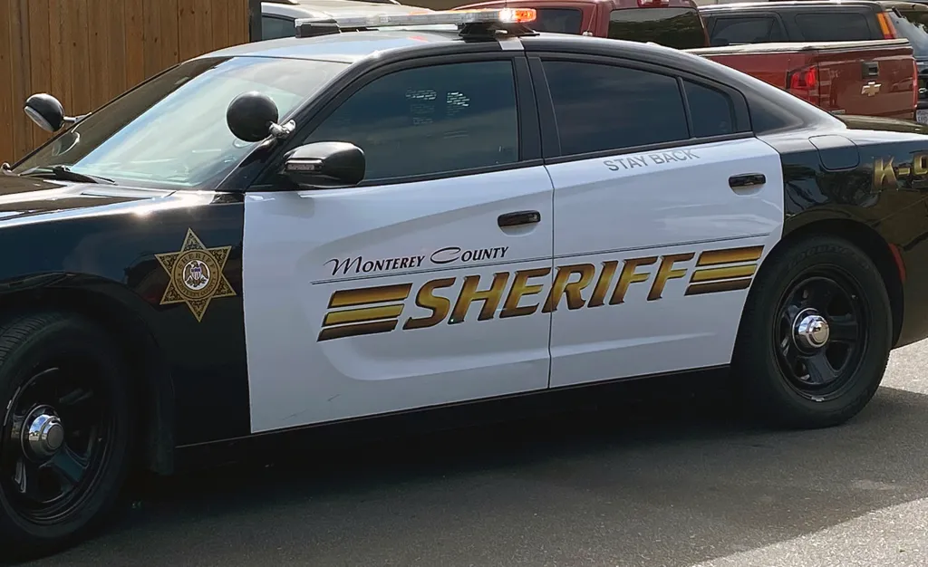 Infant dies at illegal Monterey County day care; 2 arrested