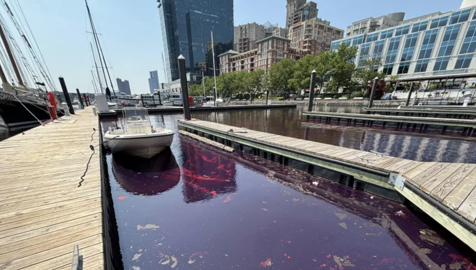 2000 gallons of diesel fuel overflowed into Baltimore’s Inner Harbor