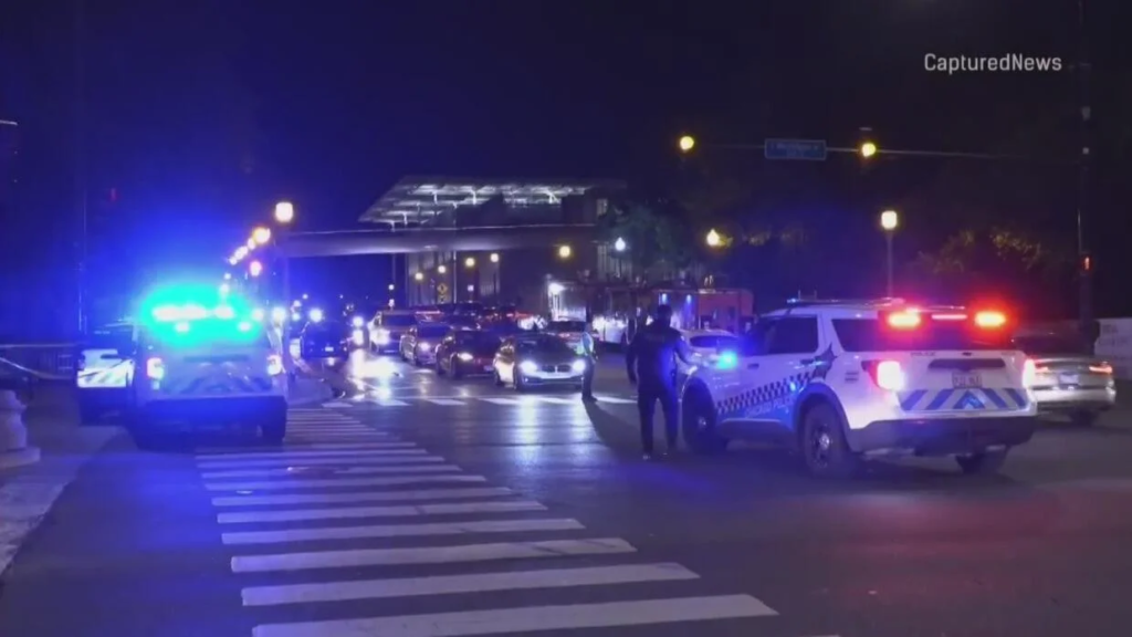 Man chasing runaway dog critically hurt in hit-and-run crash in Loop