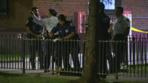 3 shot at East Village NYCHA complex, NYPD says