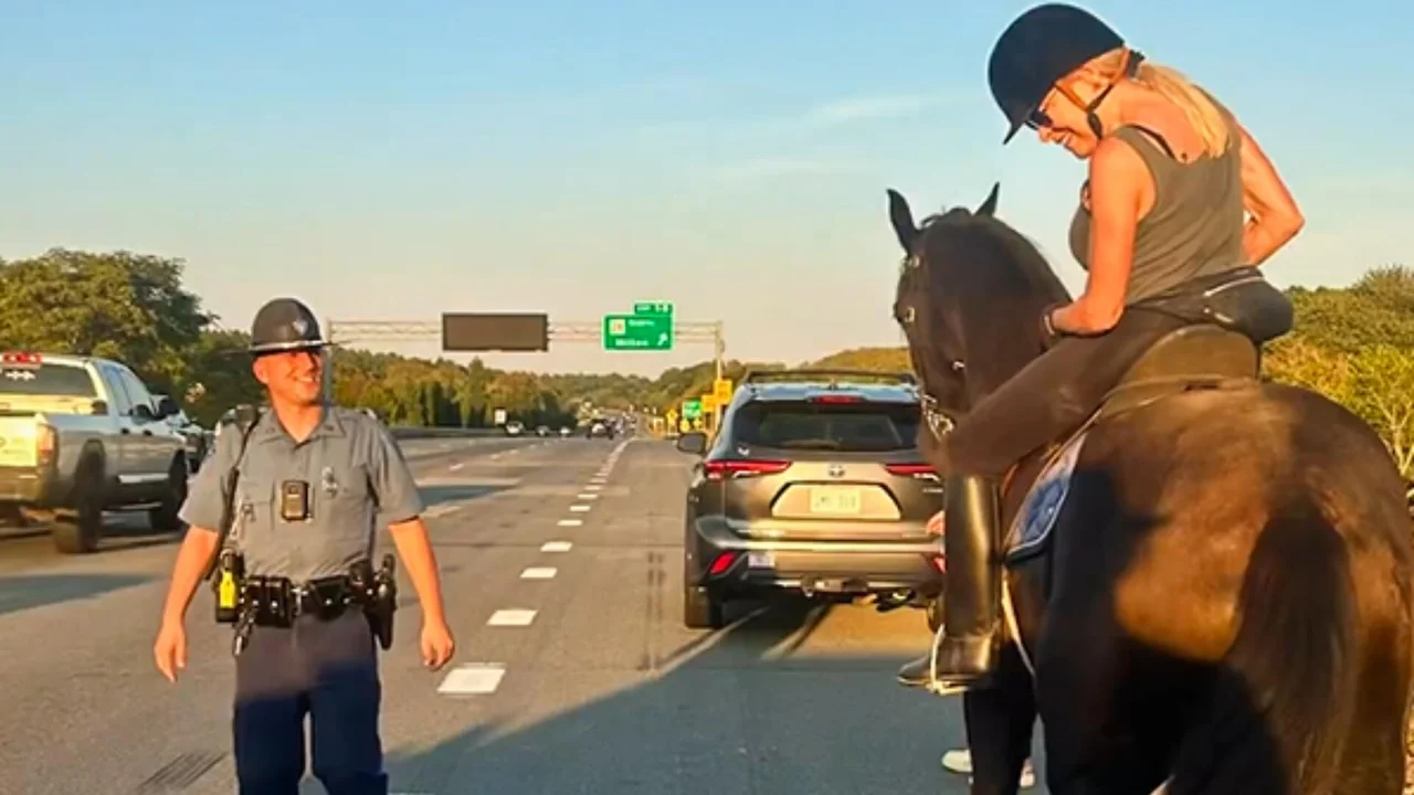 Horse rescued on I-93 in Randolph after trotting away from rider