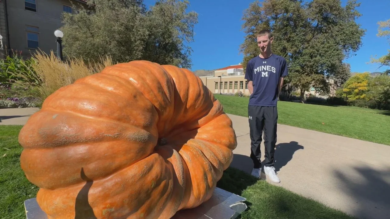 Colorado School of Mines shows off 1,579 pound pumpkin grown by student